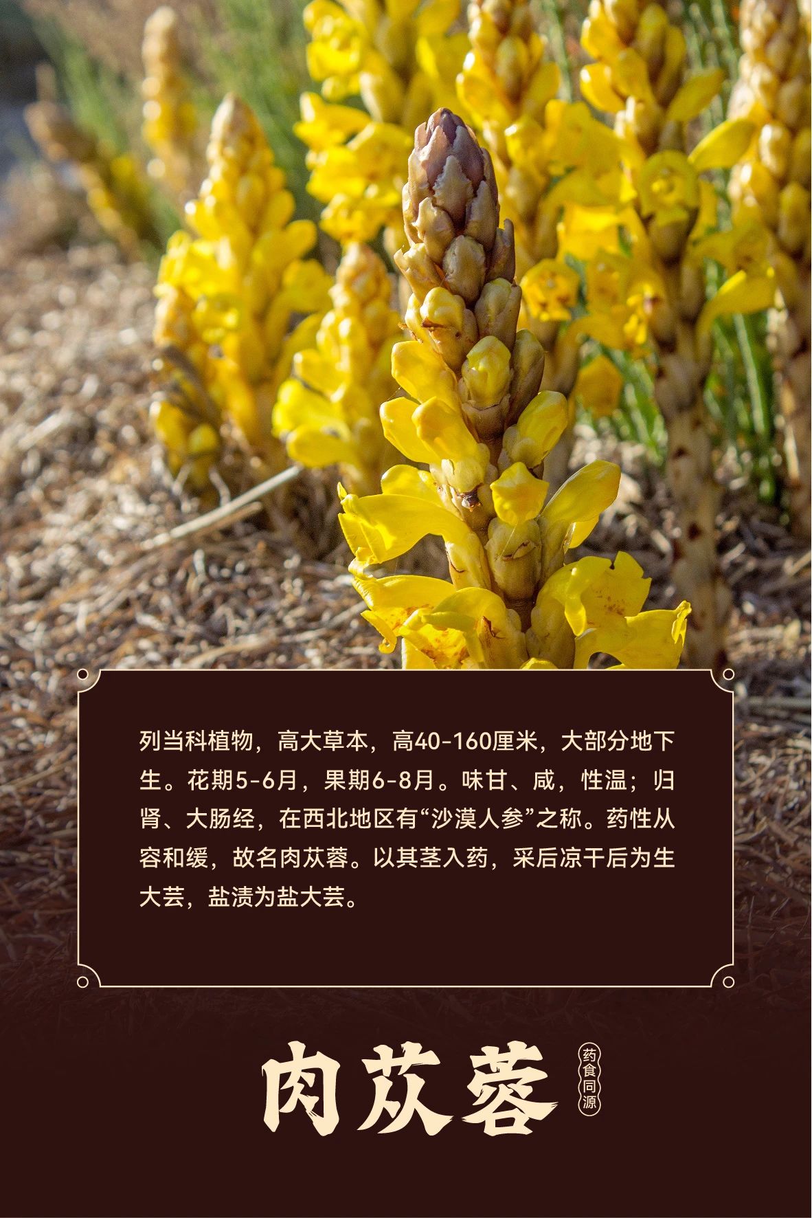 1732593622247279.jpg 微信图片_20241126115929.jpg